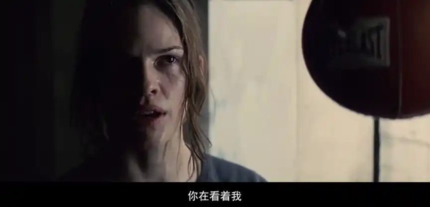 1.0 字幕翻译示意图